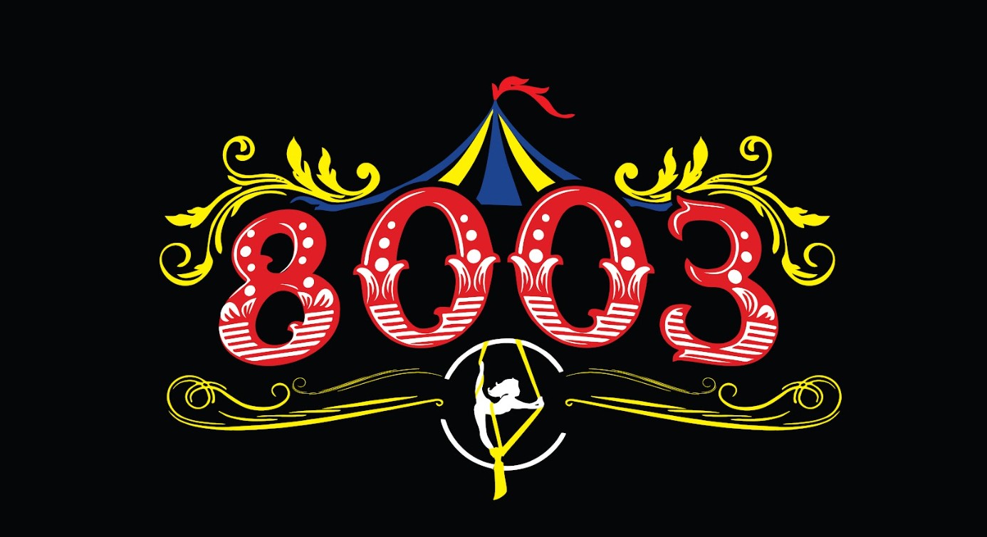 Screenshot de proyecto Colectivo 8003